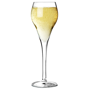 Brio Champagne Flutes 5.6oz / 160ml