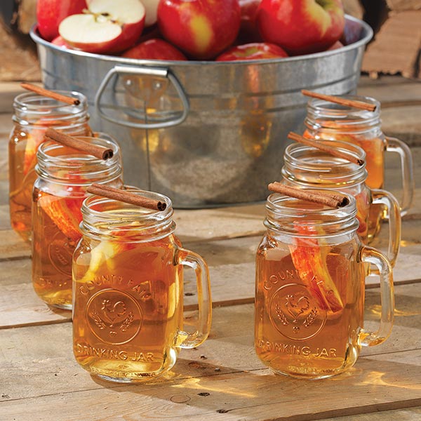 County Fair Mason Jar Drinking Glasses | Sets, Set of 2