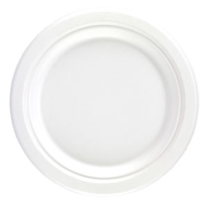 Dispo Bagasse Round Plates 10inch