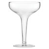 Antoinette Hollow Coupe Glasses 8.5oz / 240ml