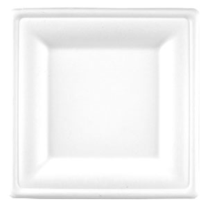 Square Bagasse Plate 10.2inch / 26cm