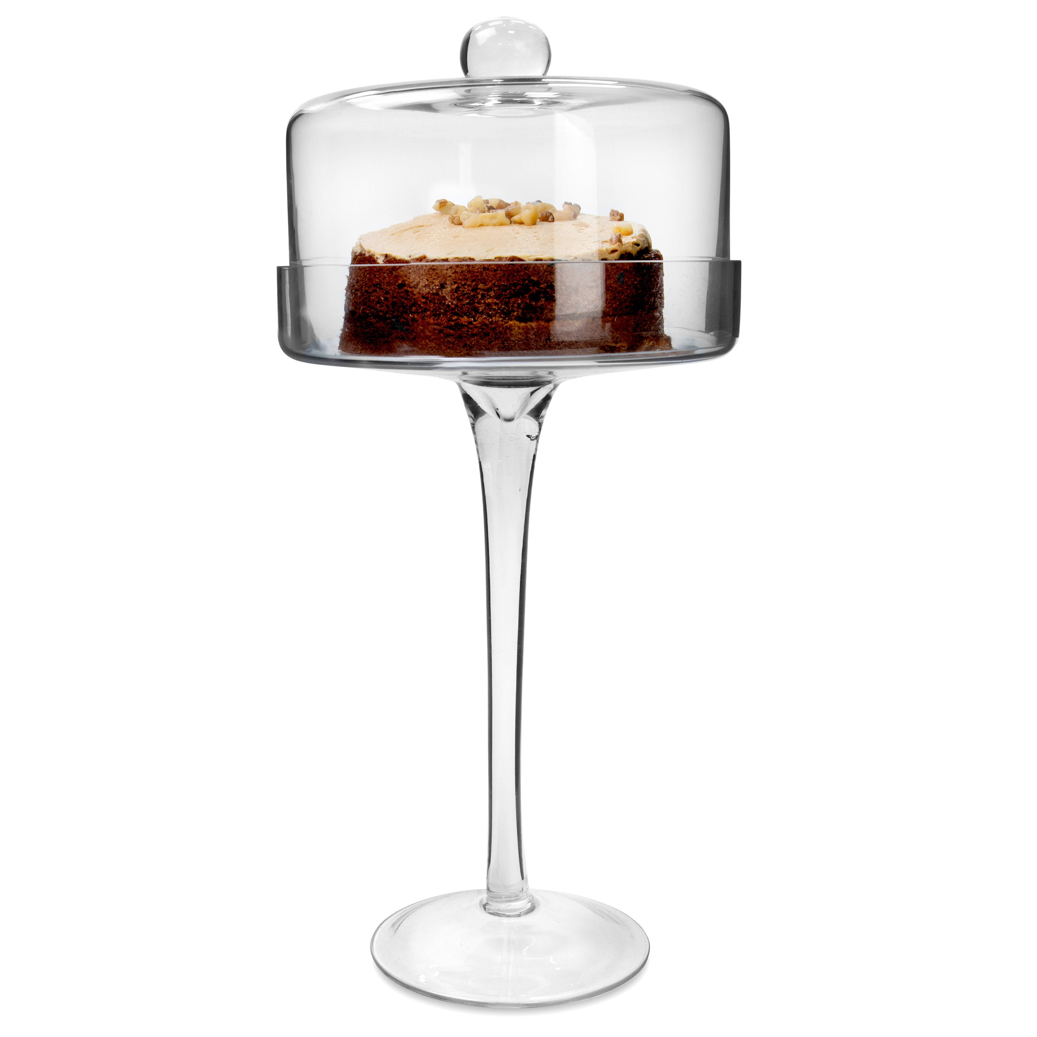 Buy Upper Crust Glass Cloche With Wooden Base Online - Ellementry