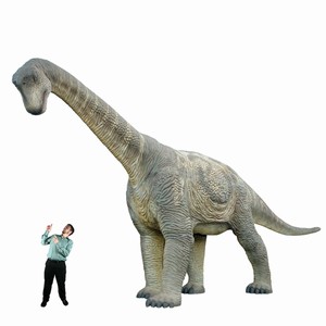 Life Size Camarasaurus Dinosaur Replica
