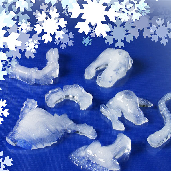 FOSSILICED Ice Trays - Eclectic - Ice Trays And Molds - by 2Shopper, Inc. |  Houzz